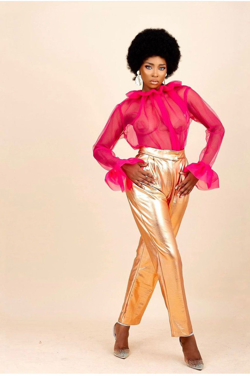 Piillz N Poizn Organza Blouse