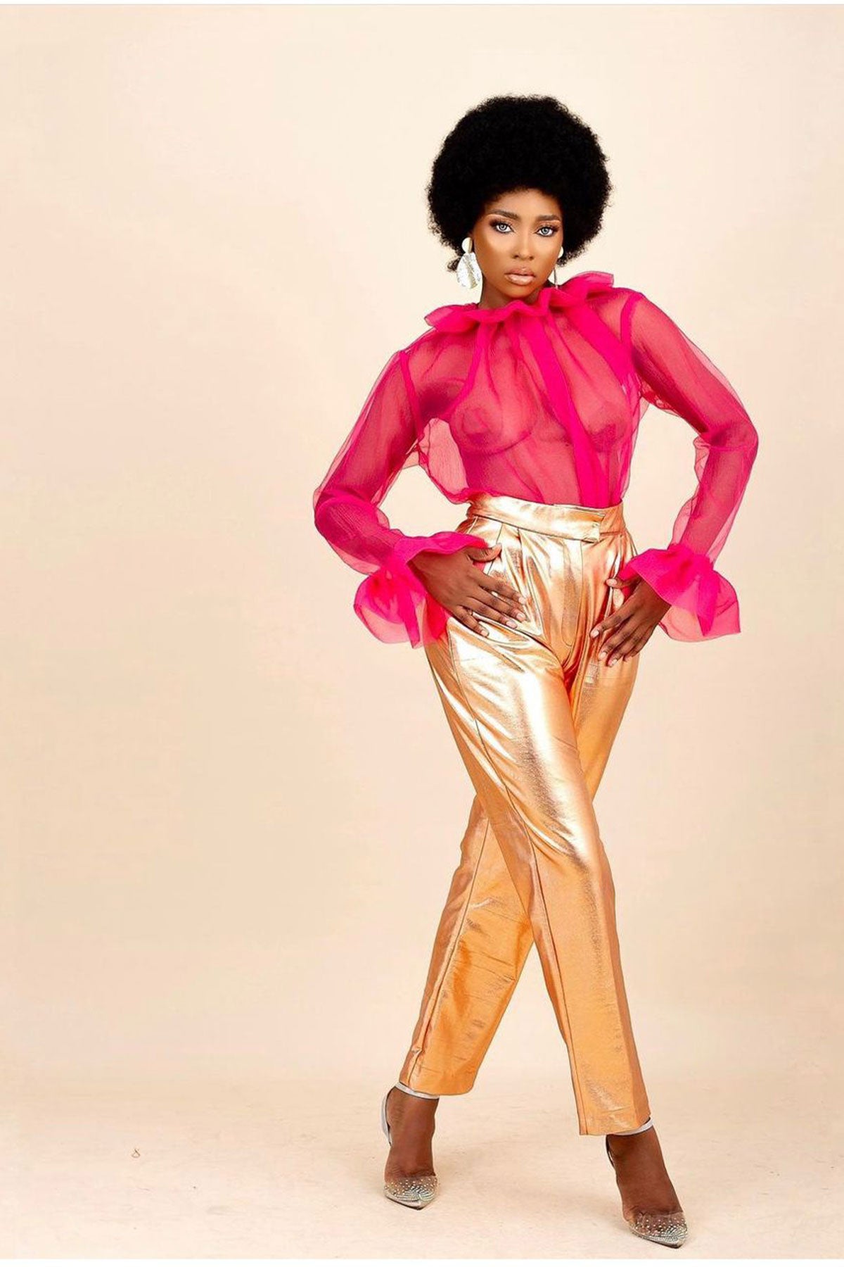 Piillz N Poizn Organza Blouse